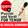 Turandot: Nessun Dorma - Andante Sostenuto (no Vocals) [Karaoke Version] - Czech Symphony Orchestra & Julian Bigg