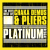 Finest Platinum Reggae: The Very Best of Chaka Demus & Pliers - Chaka Demus & Pliers
