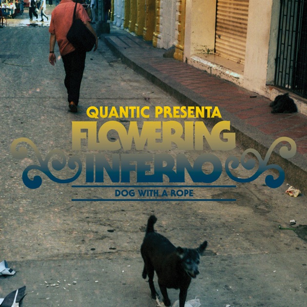 1000 Watts - Quantic Presenta Flowering Inferno & Quantic presenta