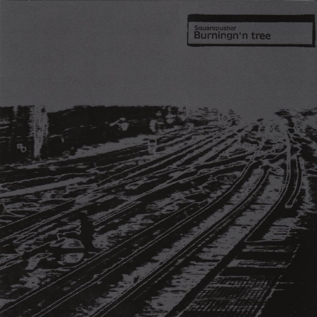 Hard Normal Daddy - Squarepusherのアルバム - Apple Music