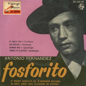 Vintage Flamenco Cante Nº2 - EPs Collectors