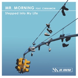 Stepped Into My Life (Vocal Mix) Mr. Morning