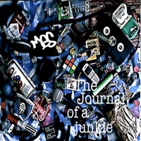 The Journal of a Junkie - Mes