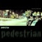 Pedestrian - Tommy Del Mar lyrics
