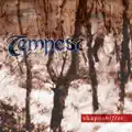 Tamosher