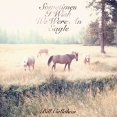 Bill Callahan - Invocation of Ratiocination