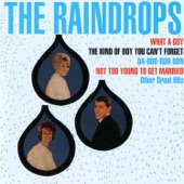 The Raindrops - Hanky Panky