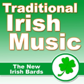 Traditional Irish Music