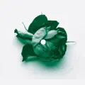 Love Can Damage Your Health (Abicah Soul/ Dennis Ferrer Remix)