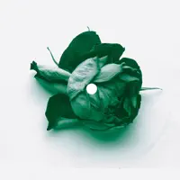 Love Can Damage Your Health (Abicah Soul/ Dennis Ferrer Remix) — Telepopmusik