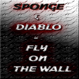 SD Music - Fly On The Wall (original funky mix) Sponge & Diablo