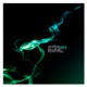 Polyps Kings Single
