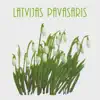 LAUKU GURKIS RIGAS TIRGU
