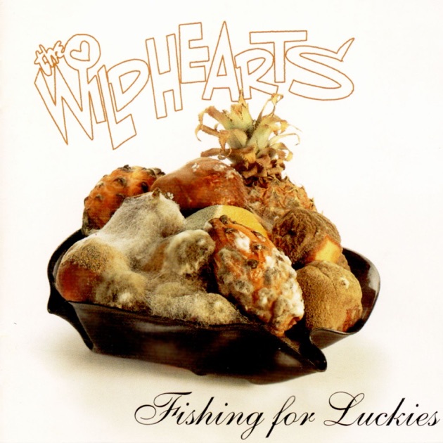 The Best of the Wildhearts - Album by The Wildhearts - Apple Music