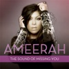 Ameerah - The Sound of Missing You (Dave Ramone Radio Edit)