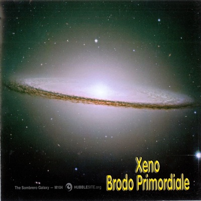 Brodo Primordiale