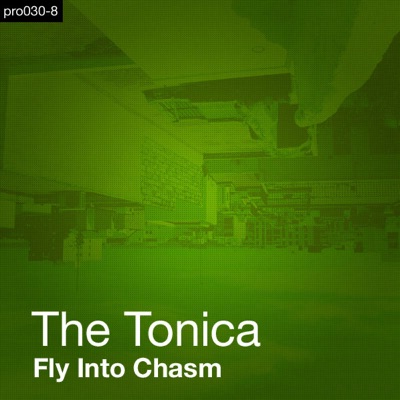 Fly Into Chasm (Remixes)