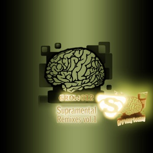 Follow Me (Supramental Remix)