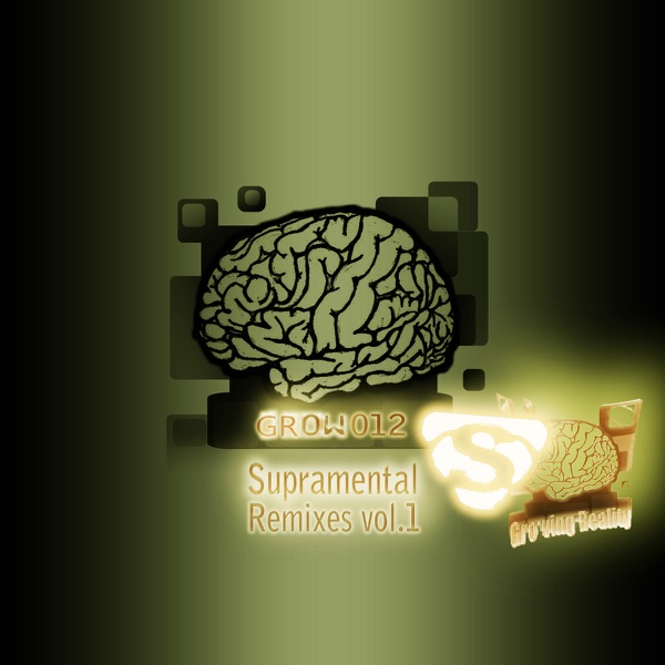 Follow Me (Supramental Remix)
