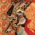 Juliet's Son