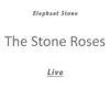 Elephant Stone