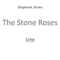 Elephant Stone