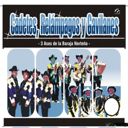 Los Coroneles - El Hijo del Palenque