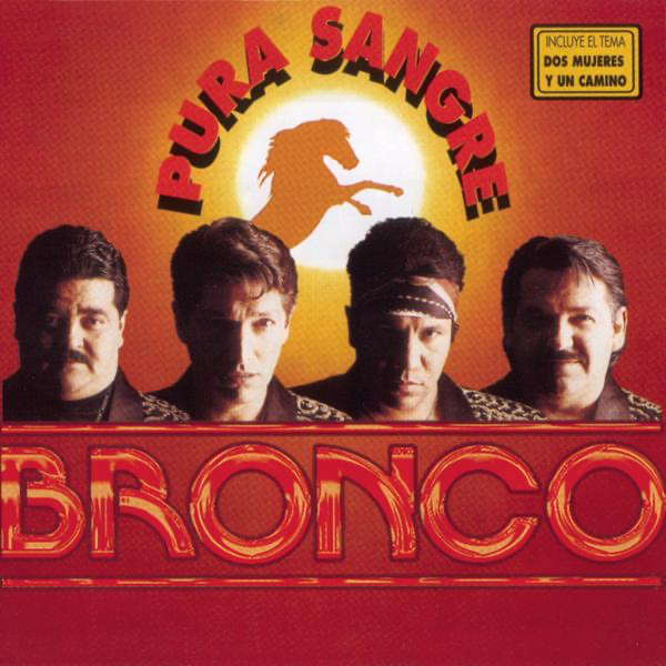 Mi Vida Es Tu Amor — Bronco