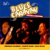 Blues Caravan 2008 - Guitars & Feathers