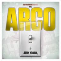 Turning You On - Single - Arco