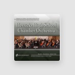 Herricks H. S. Chamber Orchestra