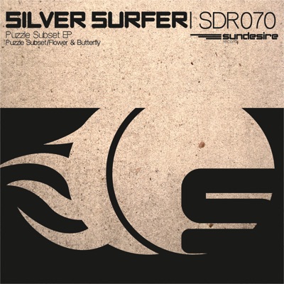 Puzzle Subset (Original Mix) - 5ilver 5urfer | Shazam