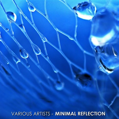 Minimal Reflection
