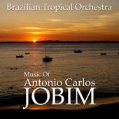Eu Sei Que Vou Te Amar song art