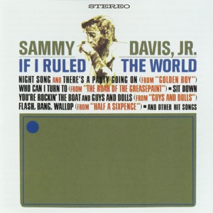 If I Ruled the World