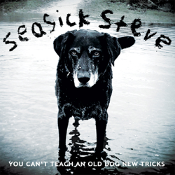 You Can't Teach an Old Dog New Tricks - Seasick Steve Cover Art