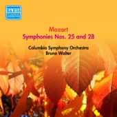 Symphony No. 25 in G minor, K. 183: I. Allegro con brio artwork