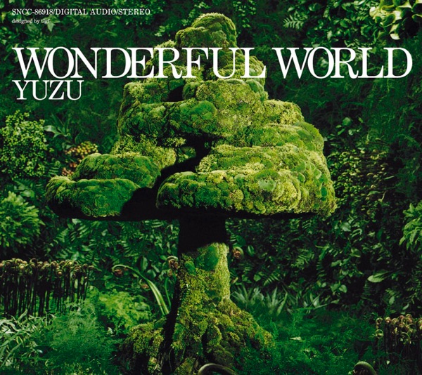 WONDERFUL WORLD