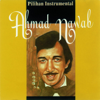 Pilihan Instrumental: Ahmad Nawab - Ahmad Nawab