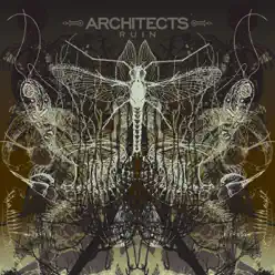 Ruin - Architects