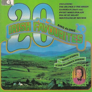 Medley: 'twas Only an Irishmean's Dream / That Old Irish Mother of Mine
