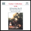 Steven Novacek - 24 Excercises Op. 35 No.19
