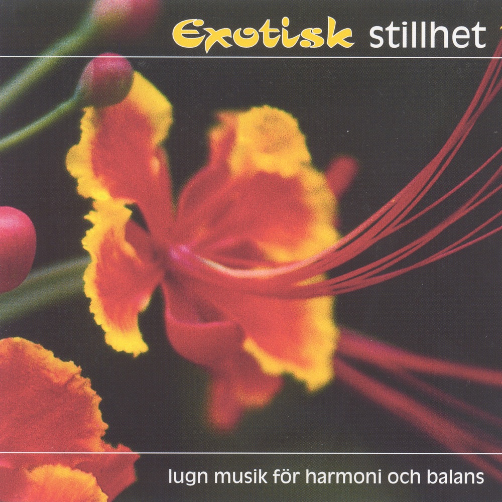Обложка альбома «Exotisk Stillhet (Exotic Stillness)» — David Antony Clark, Jon Mark, Philip Riley, Huda Saboor, Huda Melsom & Radha Sahar