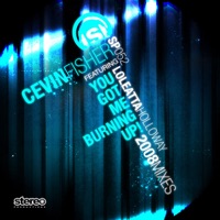 You Got Me Burning Up! 2008 Mixes - Cevin Fisher