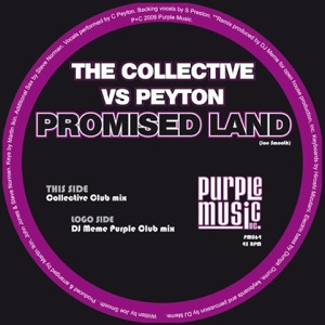 Promised Land (Remixes) - EP