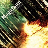 Megafaun - The Process