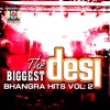 The Biggest Desi Bhangra Hits, Vol. 2