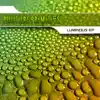 Phutureprimitive - Luminous (feat Alyssa Palmer) - Original Mix
