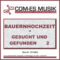 Eine weiße Hochzeitskutsche