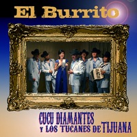 El Burrito - Single - CuCu Diamantes y Los Tucanes de Tijuana